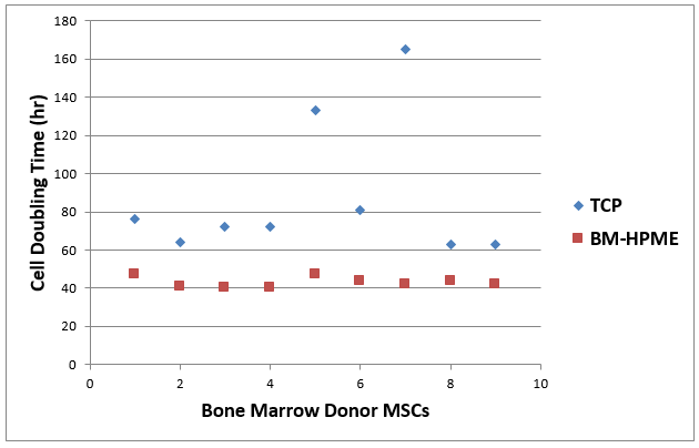 MSCs grown on Bone Marrow - High Performance Micro Environment