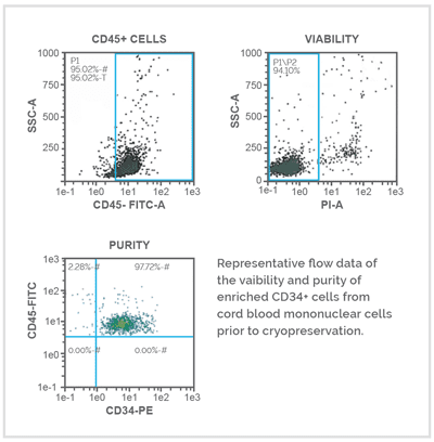 Representative flow data fo the vialability and purity of enriched CD34+ cells from cord blood mononuclear cells prior to cryopreservation